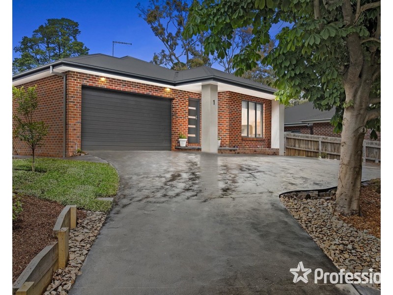 1 Cecilia Place, Wandin North VIC 3139