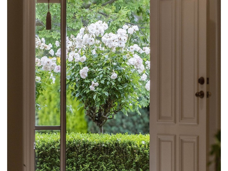 6 Meadowbank Avenue, Chirnside Park VIC 3116