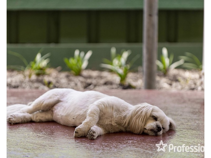 269 Dorset Road, Croydon VIC 3136