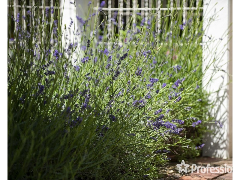 269 Dorset Road, Croydon VIC 3136