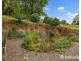 4 Lloyds Road, Powelltown VIC 3797