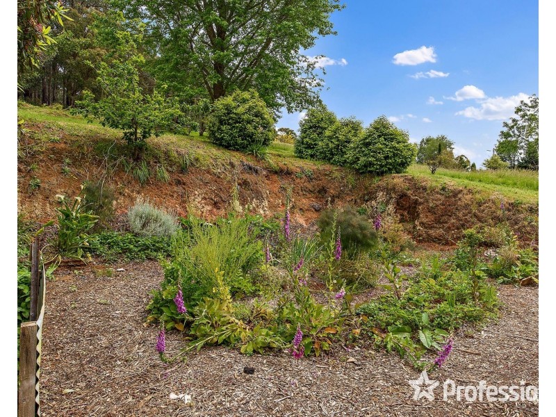 4 Lloyds Road, Powelltown VIC 3797