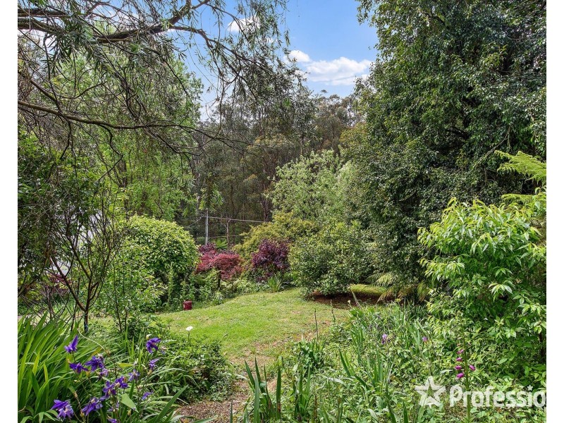 4 Lloyds Road, Powelltown VIC 3797