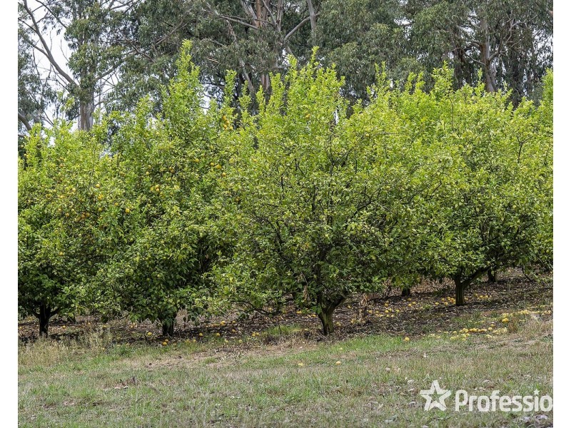 31-33 Lily Avenue, Mount Evelyn VIC 3796