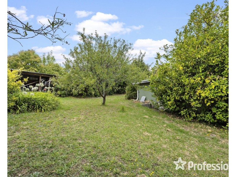 17 Myoora Drive, Mooroolbark VIC 3138