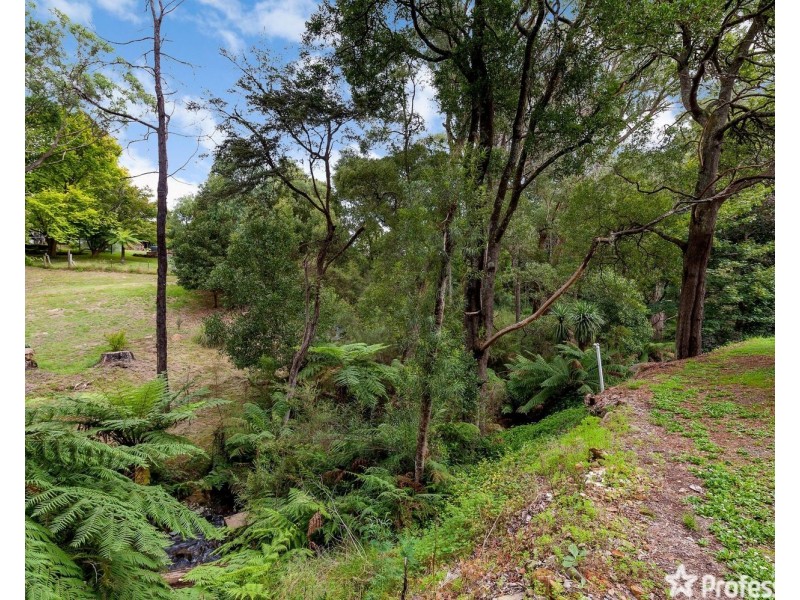 1600 Woods Point Road, Mcmahons Creek VIC 3799