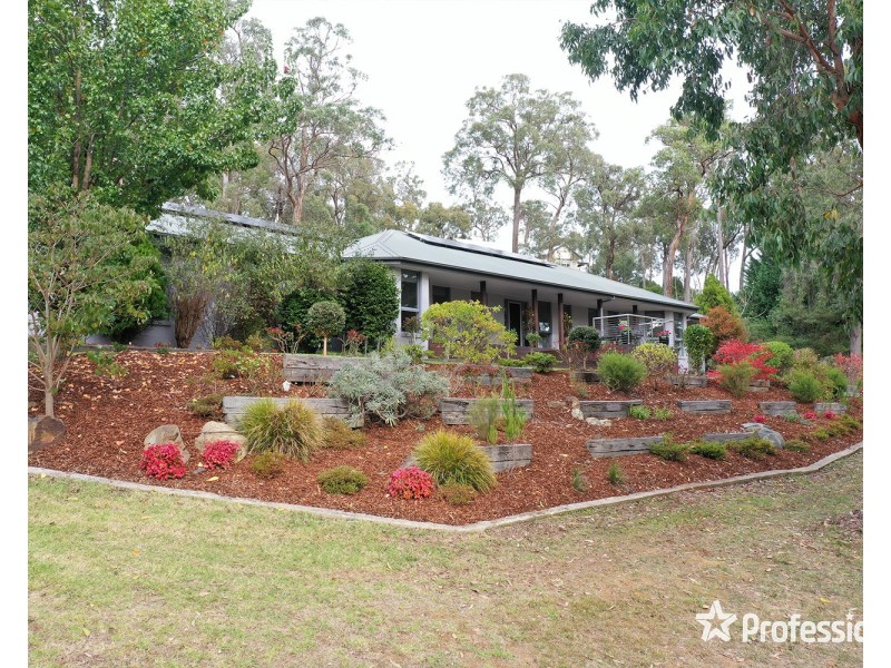15 Harrison Road, Montrose VIC 3765