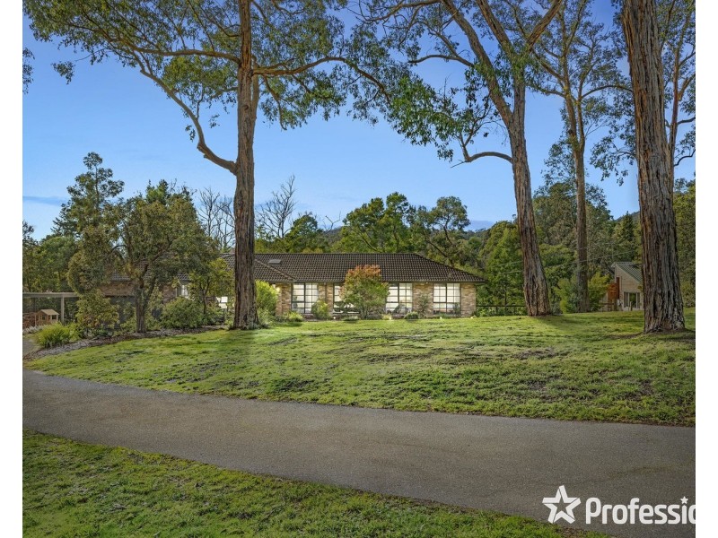 53 Belvedere Drive, Montrose VIC 3765