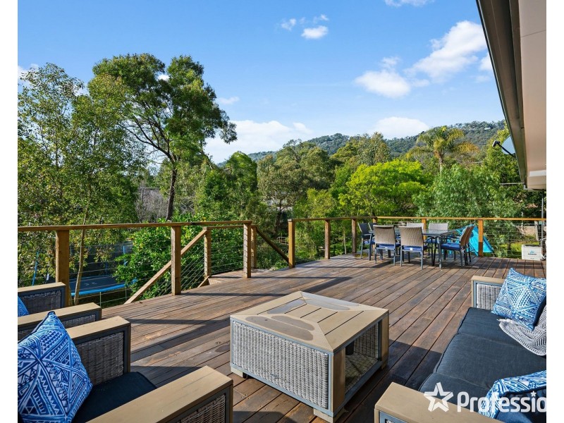 53 Belvedere Drive, Montrose VIC 3765