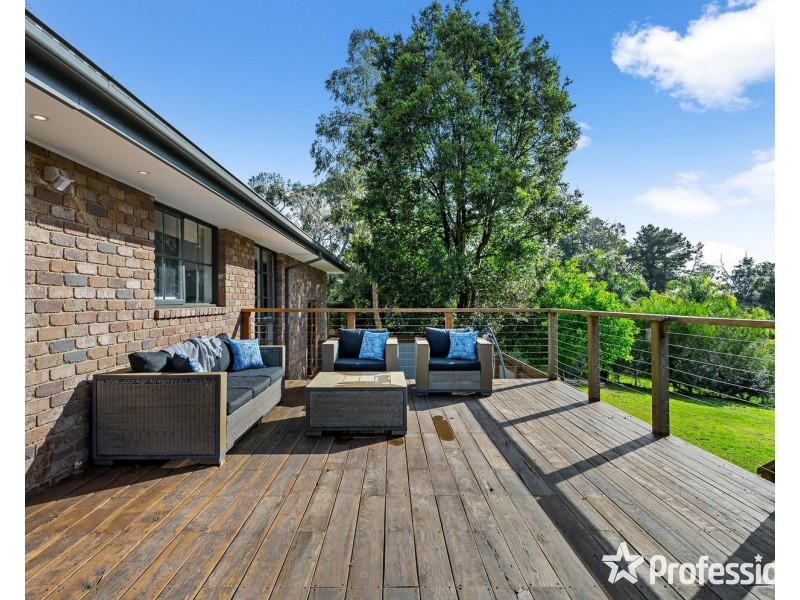 53 Belvedere Drive, Montrose VIC 3765