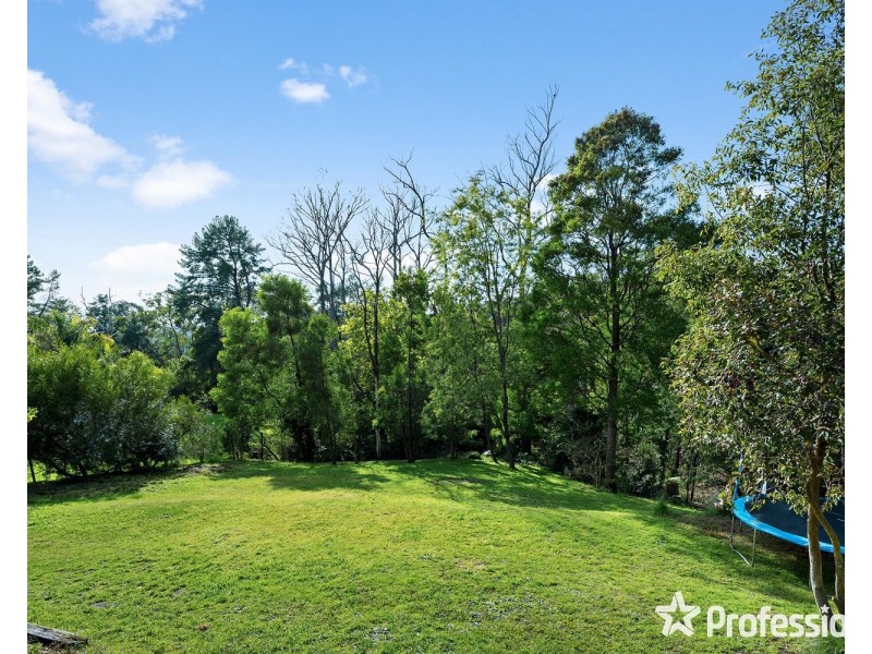 53 Belvedere Drive, Montrose VIC 3765