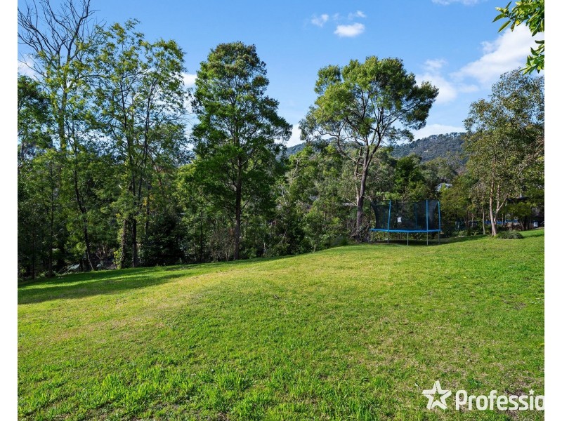 53 Belvedere Drive, Montrose VIC 3765