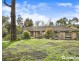 53 Belvedere Drive, Montrose VIC 3765