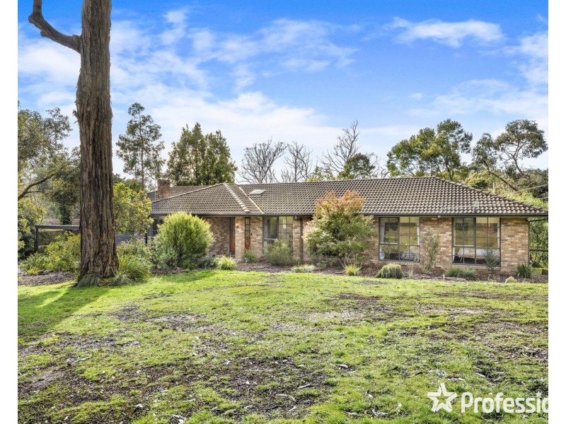 53 Belvedere Drive, Montrose VIC 3765