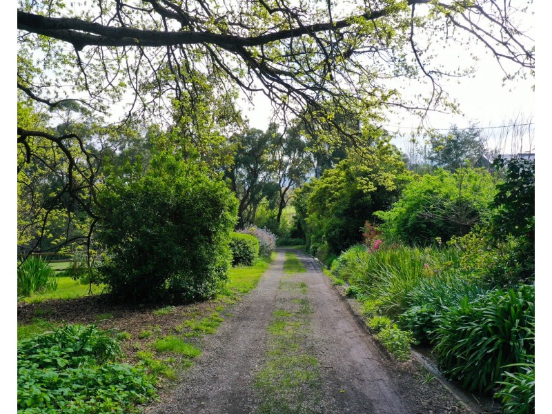 60 Shevlins Lane, Woori Yallock VIC 3139