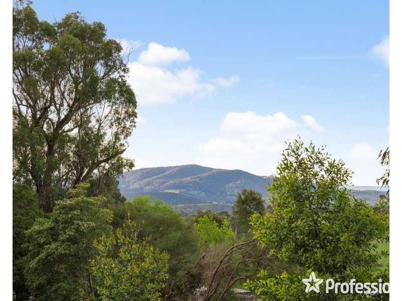 60 Shevlins Lane, Woori Yallock VIC 3139