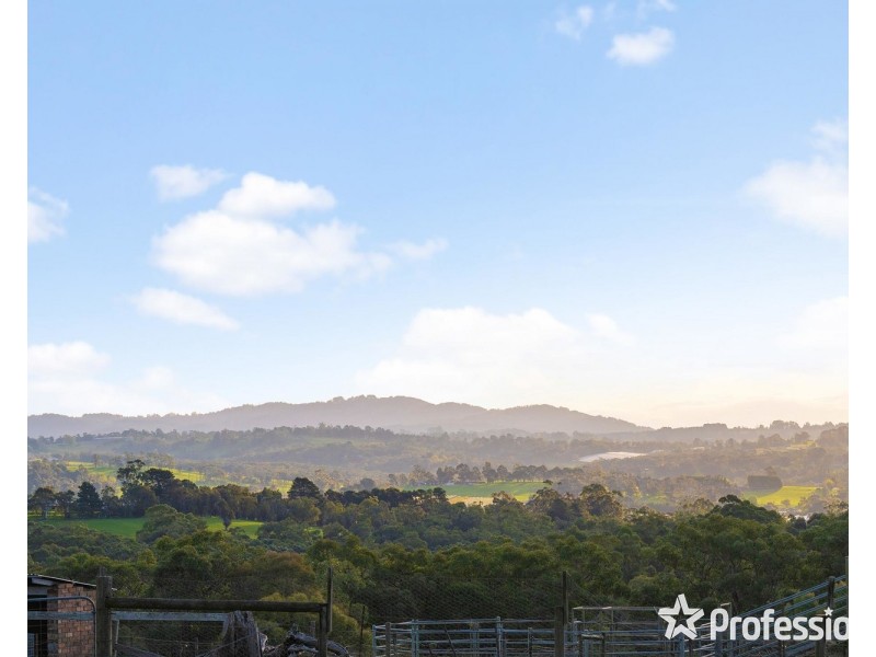 60 Shevlins Lane, Woori Yallock VIC 3139