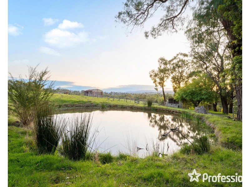 60 Shevlins Lane, Woori Yallock VIC 3139