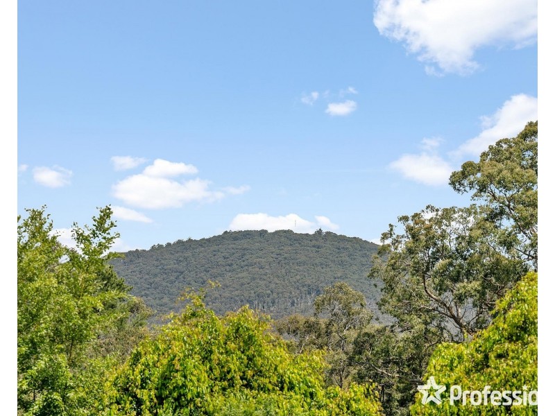 8 Belfast Road, Montrose VIC 3765