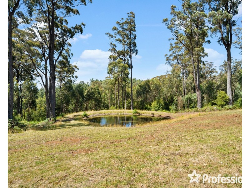 565 Thonemans Road, Hoddles Creek VIC 3139