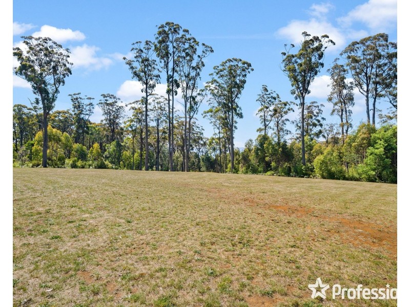565 Thonemans Road, Hoddles Creek VIC 3139