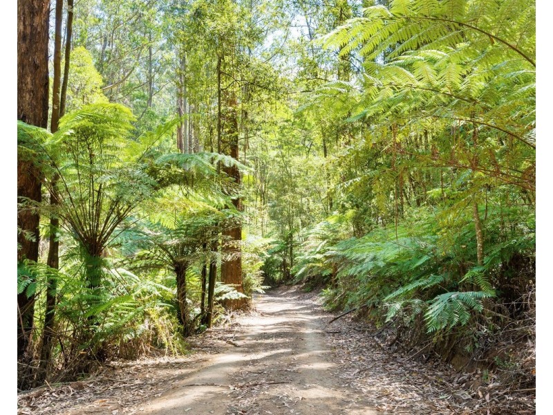 565 Thonemans Road, Hoddles Creek VIC 3139