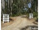 565 Thonemans Road, Hoddles Creek VIC 3139