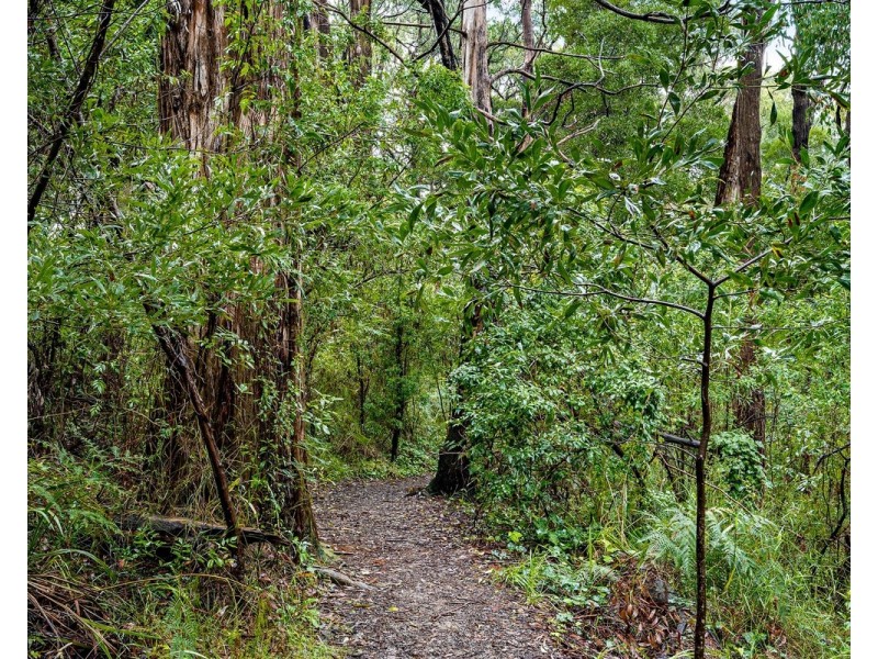 16 Joy Avenue, Mount Evelyn VIC 3796