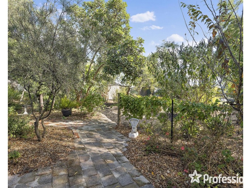 97 Pine Road, Mooroolbark VIC 3138