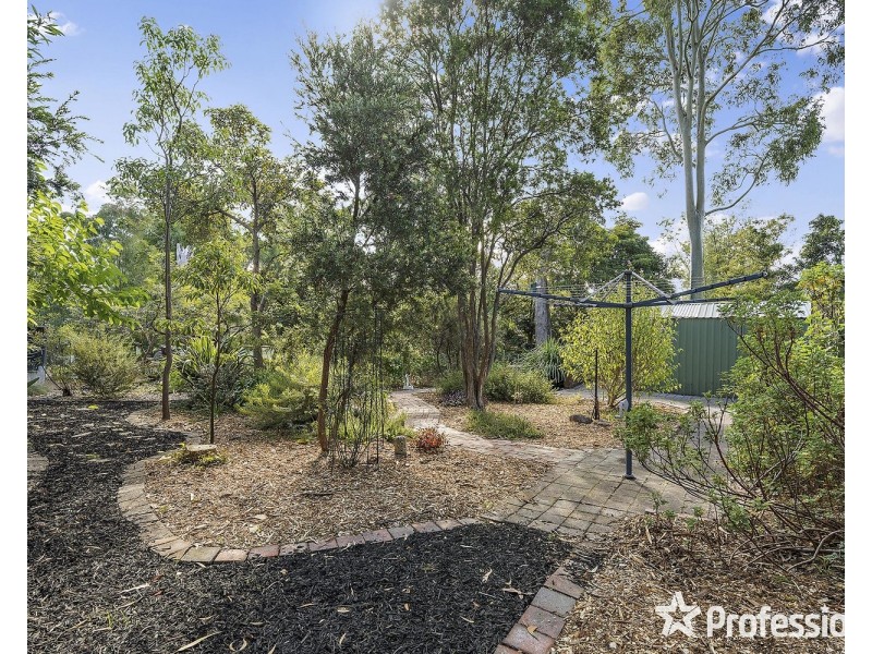 97 Pine Road, Mooroolbark VIC 3138