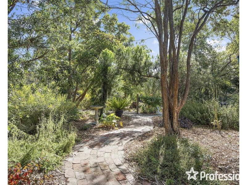 97 Pine Road, Mooroolbark VIC 3138