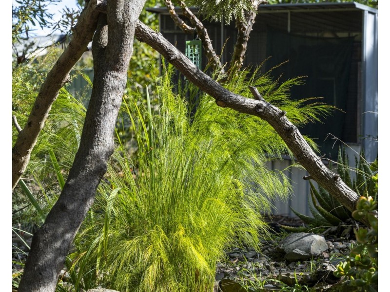 97 Pine Road, Mooroolbark VIC 3138