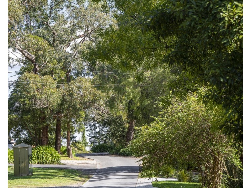 97 Pine Road, Mooroolbark VIC 3138