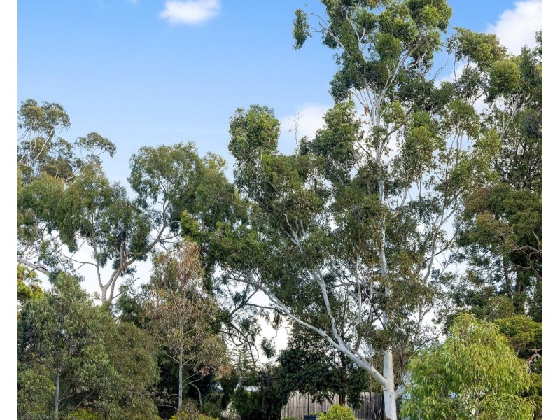 99 Botanica Drive, Chirnside Park VIC 3116