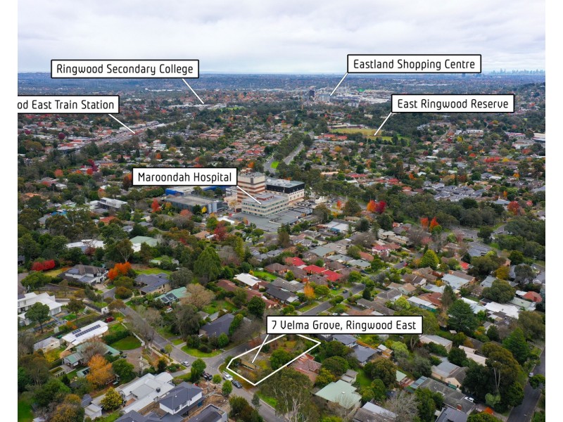 7 Velma Grove, Ringwood East VIC 3135