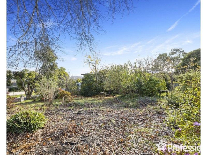 7 Velma Grove, Ringwood East VIC 3135