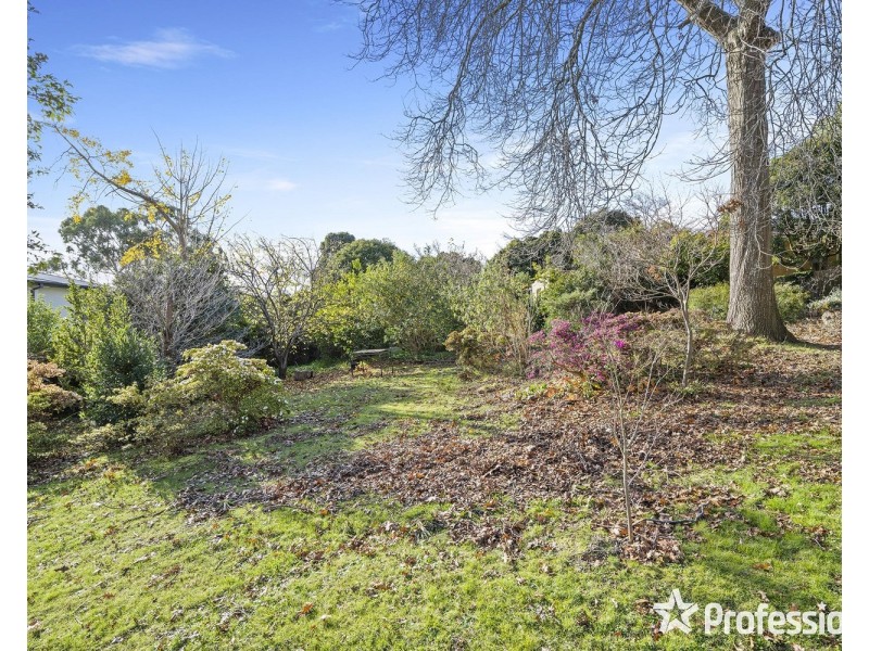 7 Velma Grove, Ringwood East VIC 3135