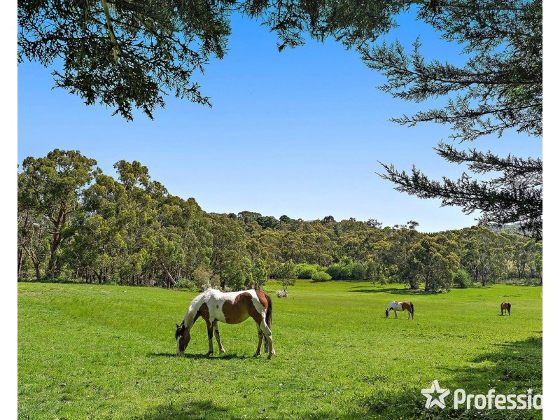 65 Forest Road, Wandin North VIC 3139