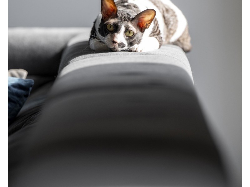 12 Empire Drive, Mooroolbark VIC 3138