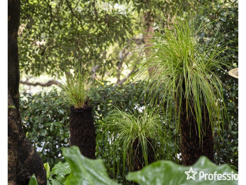 6 Government Road, The Basin VIC 3154