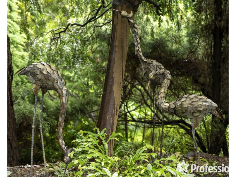 6 Government Road, The Basin VIC 3154