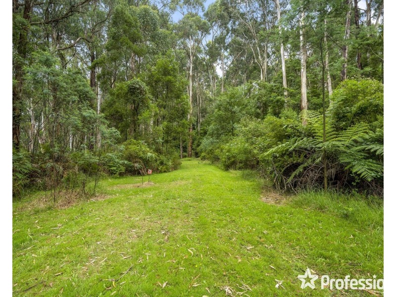 90 Lewis Road, Silvan VIC 3795