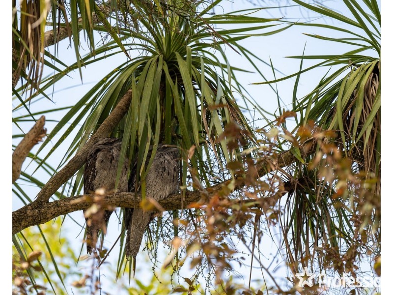 37 Landscape Drive, Mooroolbark VIC 3138