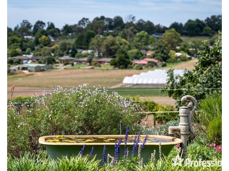 75 De Lancey Road, Wandin North VIC 3139