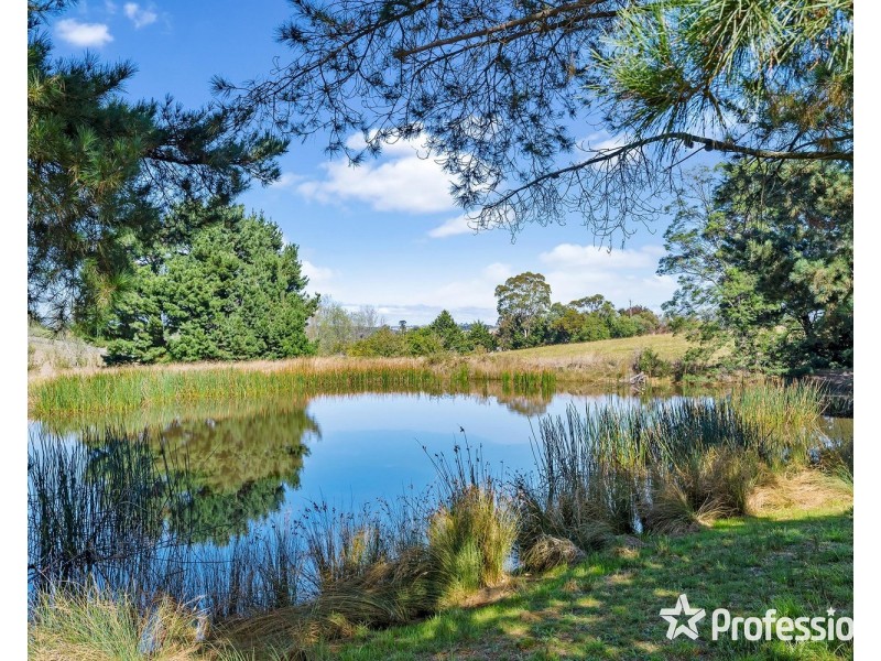 8 Rudduck Lane, Coldstream VIC 3770