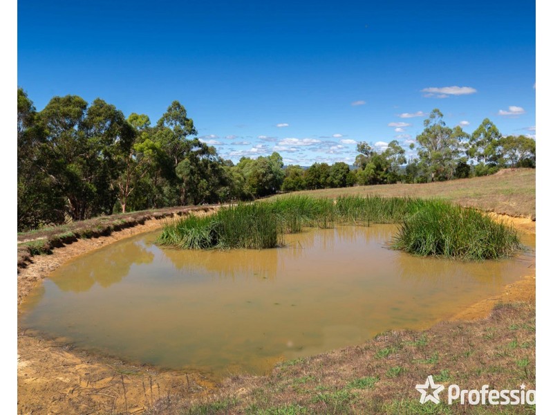 36 Beveridge Road, Silvan VIC 3795