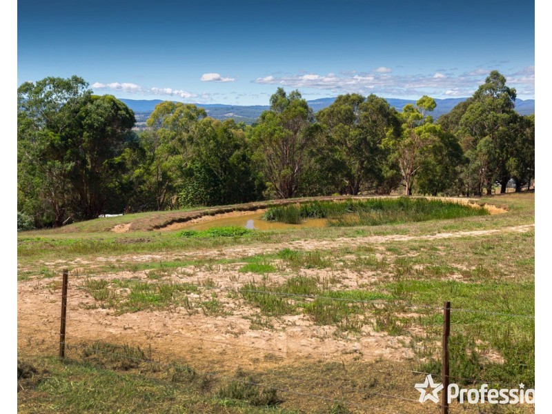 36 Beveridge Road, Silvan VIC 3795