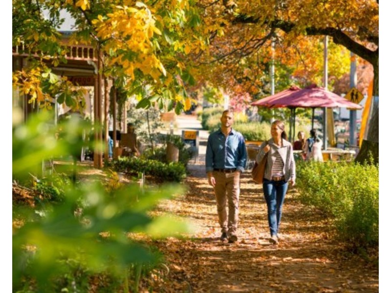 Shop 2 or 3 /18 Murchison Street, Marysville VIC 3779