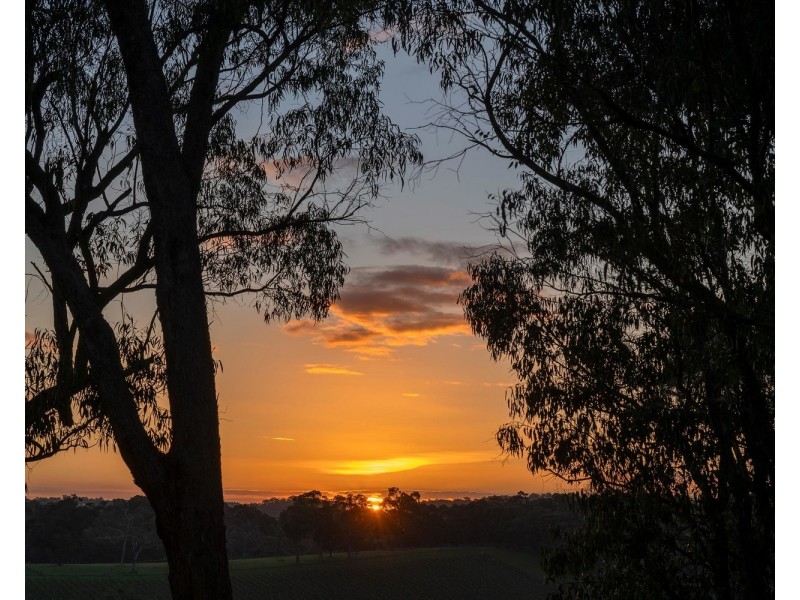 42 High Street, Seville East VIC 3139