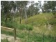 Wonga Park VIC 3115